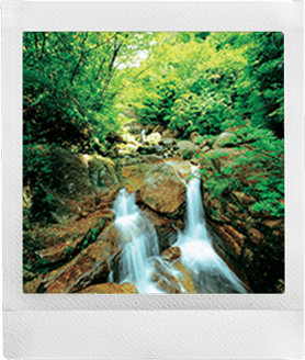 SQUARE Film